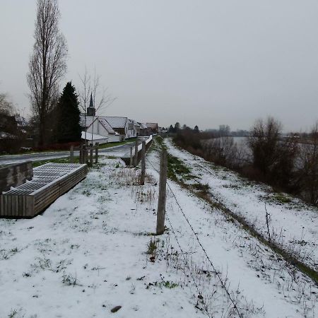 De Twie Keuninge Maasmechelen Extérieur photo
